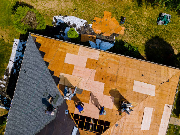 Best Roof Gutter Cleaning  in Allardt, TN