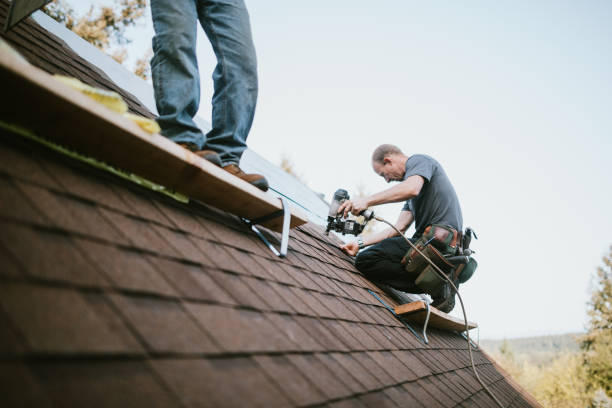 Professional Roofing Contractor in Allardt, TN